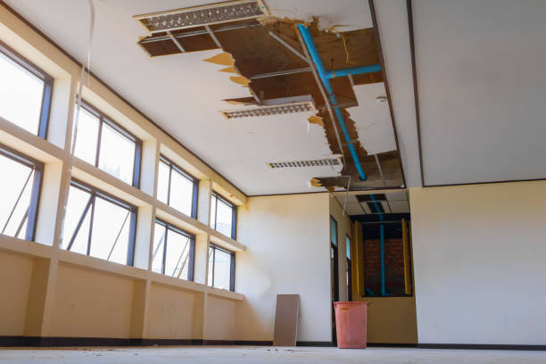 Best Water damage restoration services  in Meiners Oaks, CA