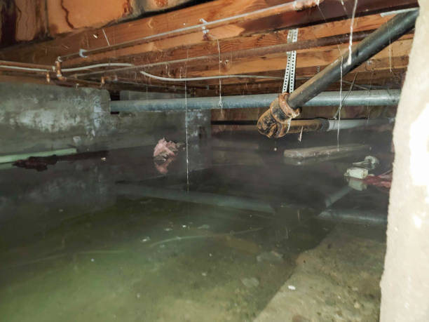 Best 24/7 water damage repair  in Meiners Oaks, CA