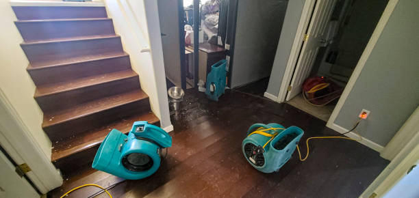 Best Water damage restoration near me  in Meiners Oaks, CA