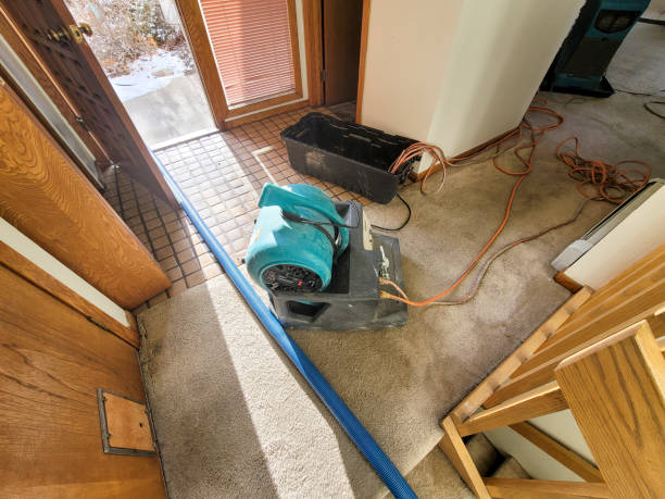 Best Professional water damage repair  in Meiners Oaks, CA