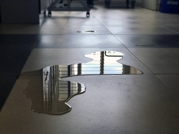 Best Commercial water damage restoration  in Meiners Oaks, CA