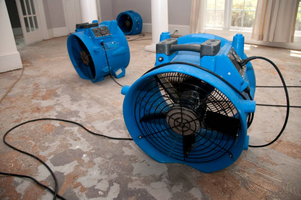 Best Mold removal after water damage  in Meiners Oaks, CA