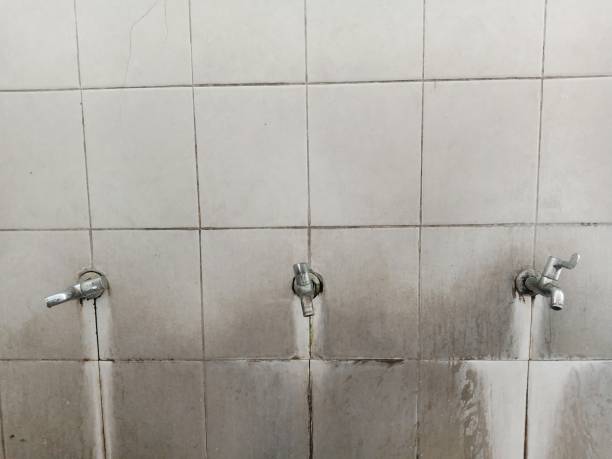 Best 24-hour water damage restoration  in Meiners Oaks, CA