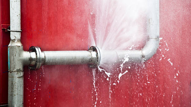 Best Carpet water damage restoration  in Meiners Oaks, CA